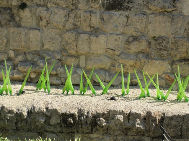 Jerusalem isn't complete without Dale Chihuly