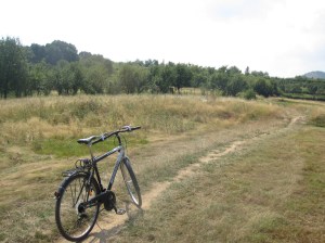 The "road" I was riding my bike on. 