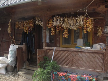 Part of the guest house. They were drying beans, onions, and garlic for the winter. They were also fattening up 3 pigs.