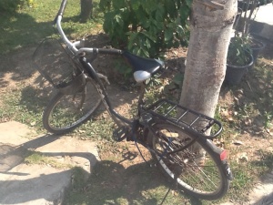 The trusty bike