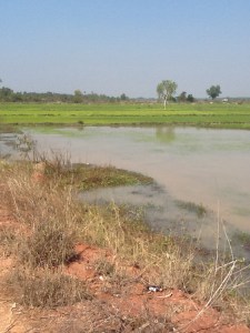 Views of the country side. Most was brown because we are in the dry season right now