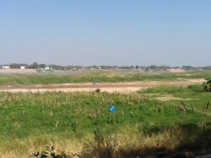 Really low Mekong in Bueng Kan 