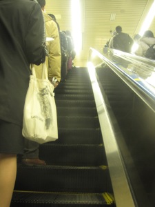 Notice how neat and orderly Japanese queue up the escalator so people can walk on the right