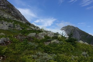 The glacier looks so small in he his picture