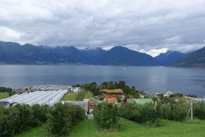 Largest raspberry producing area in Europe