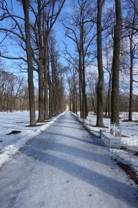 Park bey wen two palaces