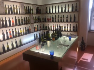 Vipava wine tasting