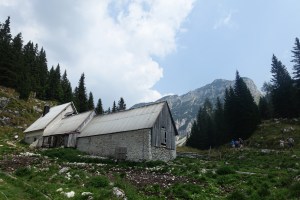 Alpine dairy where Chris and I bought a pound of cheese for $5, half sheep/half cow's milk