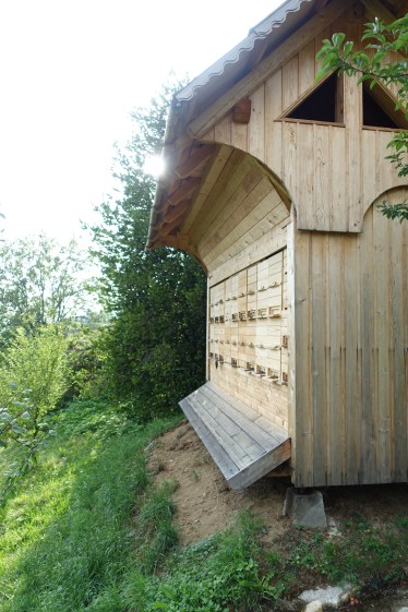 The bee hives at the farm