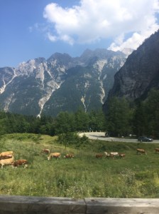 Almost at the highest pass in slovenia