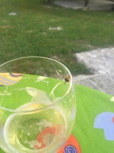 Yellow jackets all over. Drinking a grapefruit radler before I shower