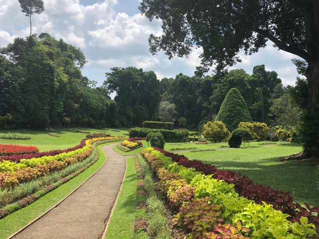 0BF239E8-B0AF-4268-A268-17FFF356EB4D