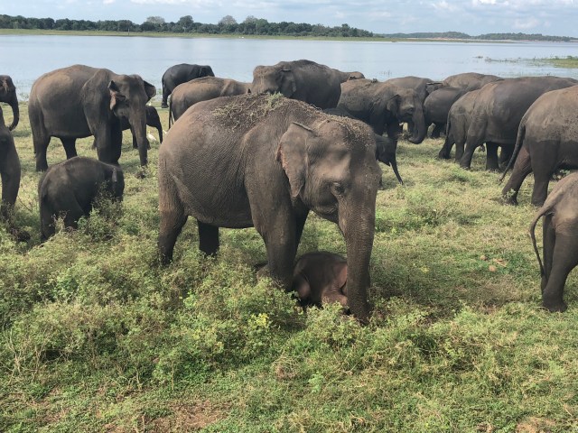 155C6E31-7AE6-4061-B2D8-7644557B7A9C