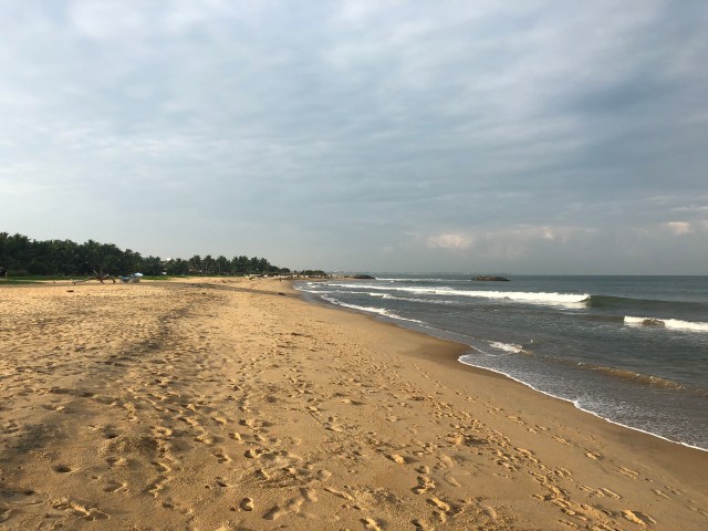 31829CB8-90F3-4C94-9DBE-1FAE3DB5F815