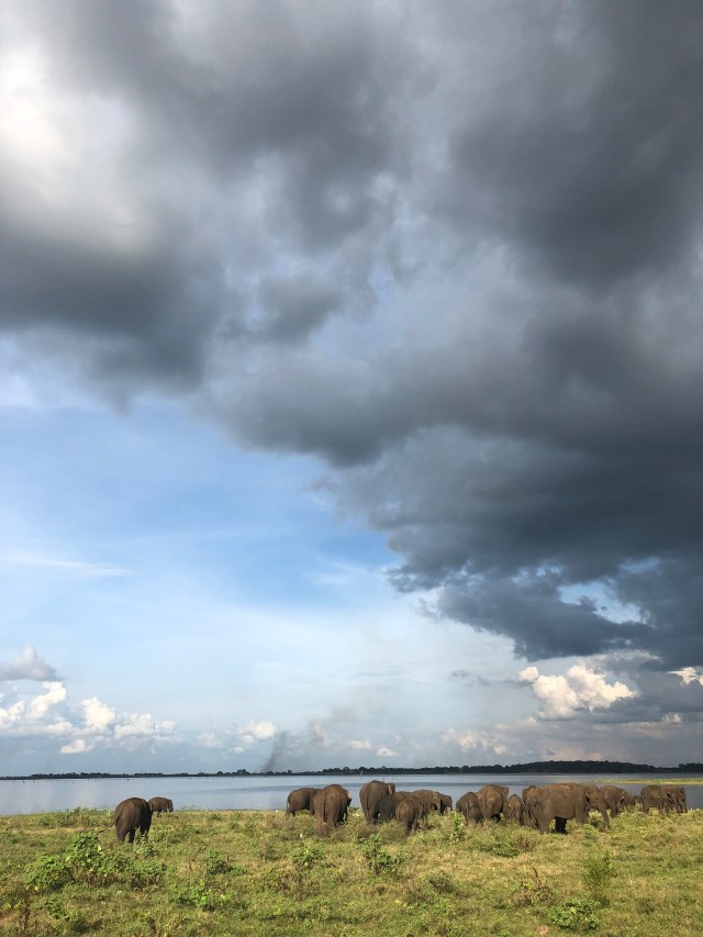 61F0E38C-46C6-439A-9424-D6A751948597