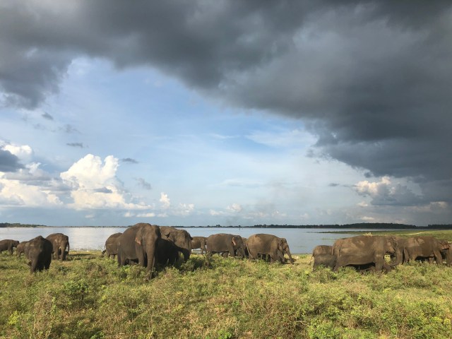 A18C83D8-A04D-4F8B-A0A7-95947BDB3331