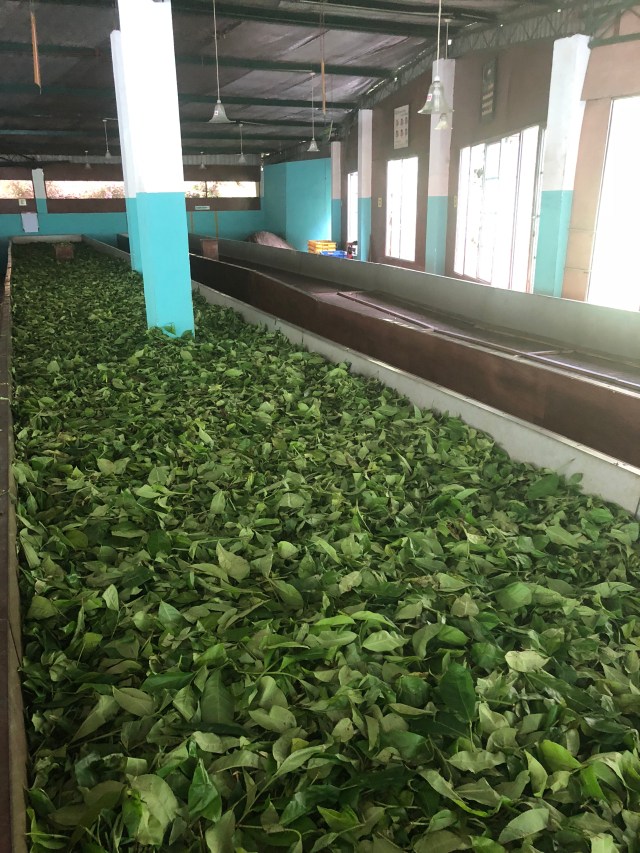 AC9CCA78-7096-4115-B03E-F2D6F1C5620D