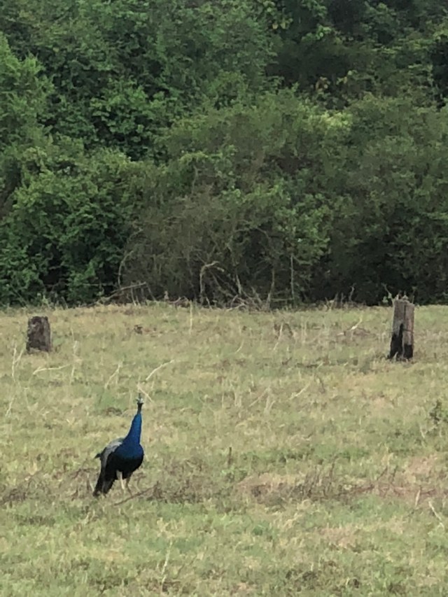 CB55B837-7723-44C4-9C64-40576A93411B