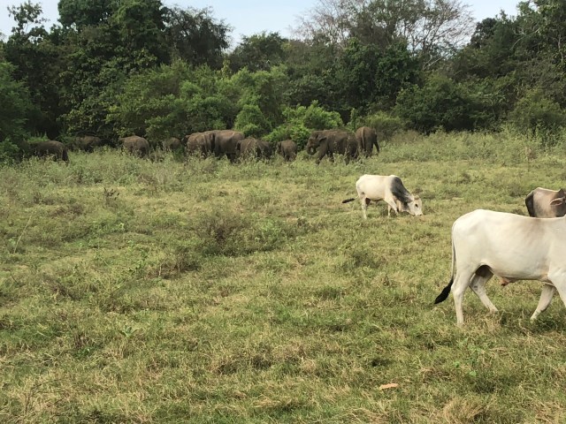 F33FF004-DF67-4100-8AEB-530533198D08