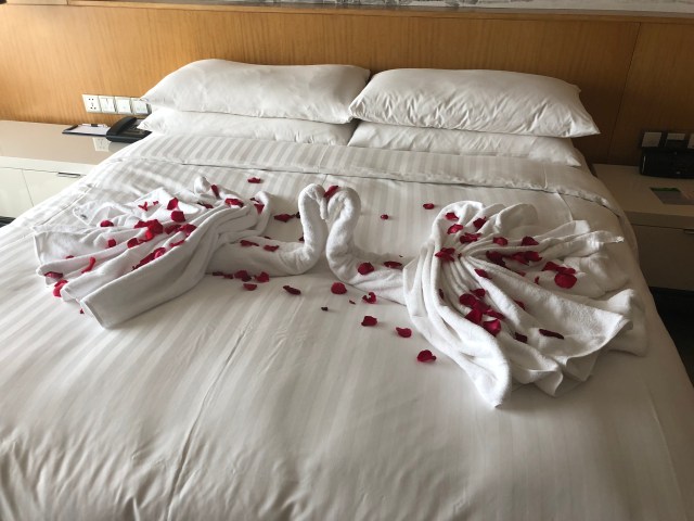 4E4CBA35-23BE-4EBC-96E7-DD7A0E29DA66