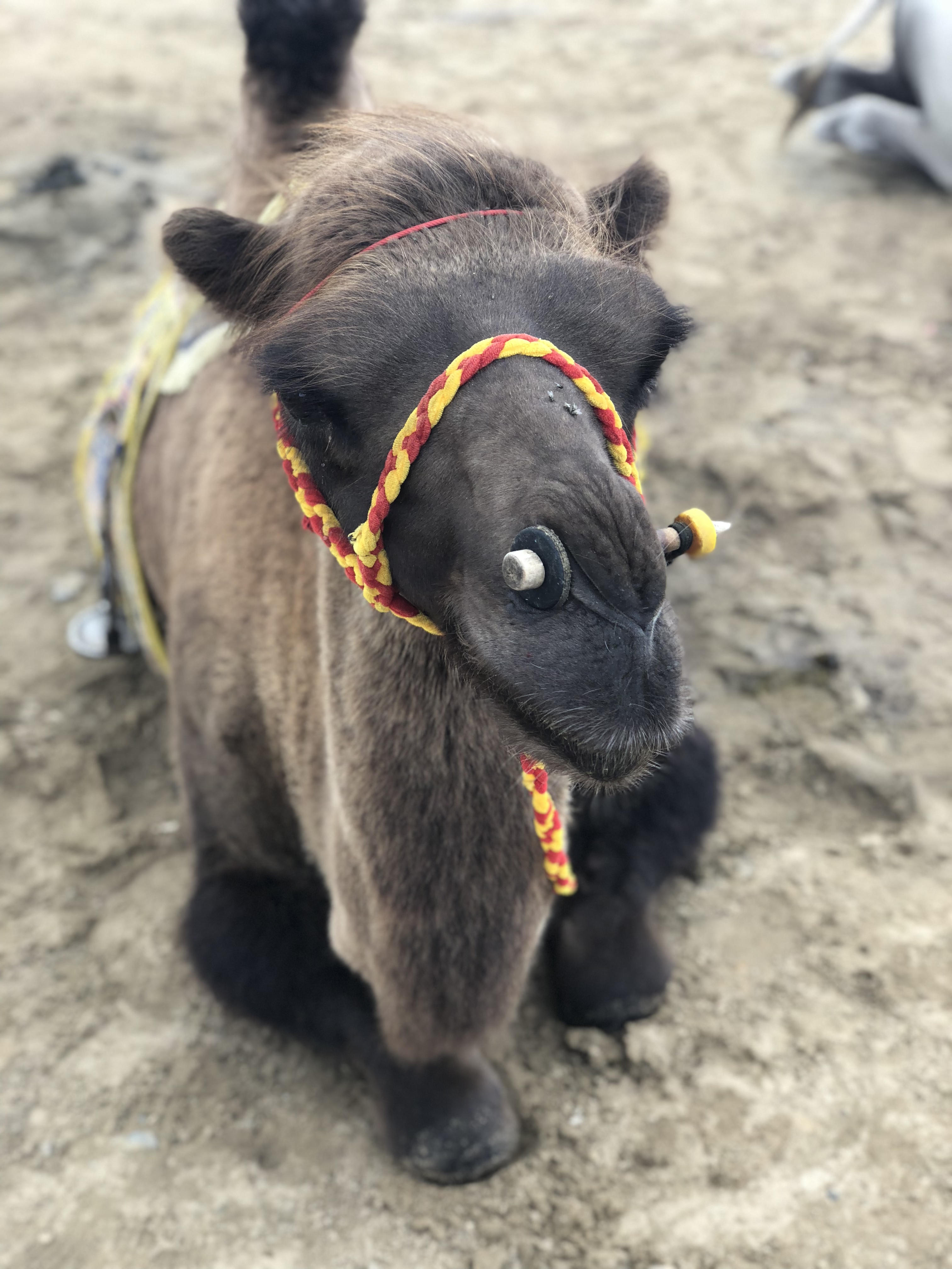 54EC1FB7-5E8D-44B2-8905-7F7FC85B6100