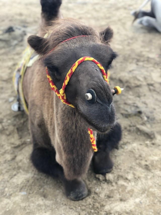 54EC1FB7-5E8D-44B2-8905-7F7FC85B6100