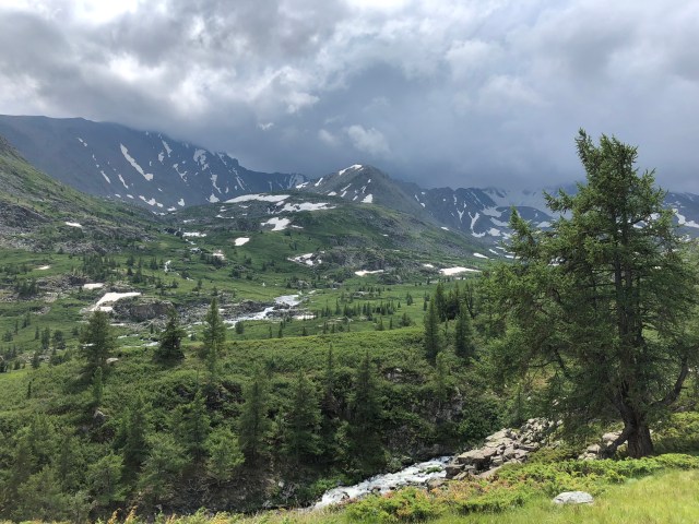 A31BE2D4-A67A-4178-BF27-04A3A7F08CC3