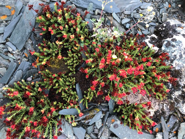 BC5CF606-BCA3-46D0-B7C9-56242D8D689B