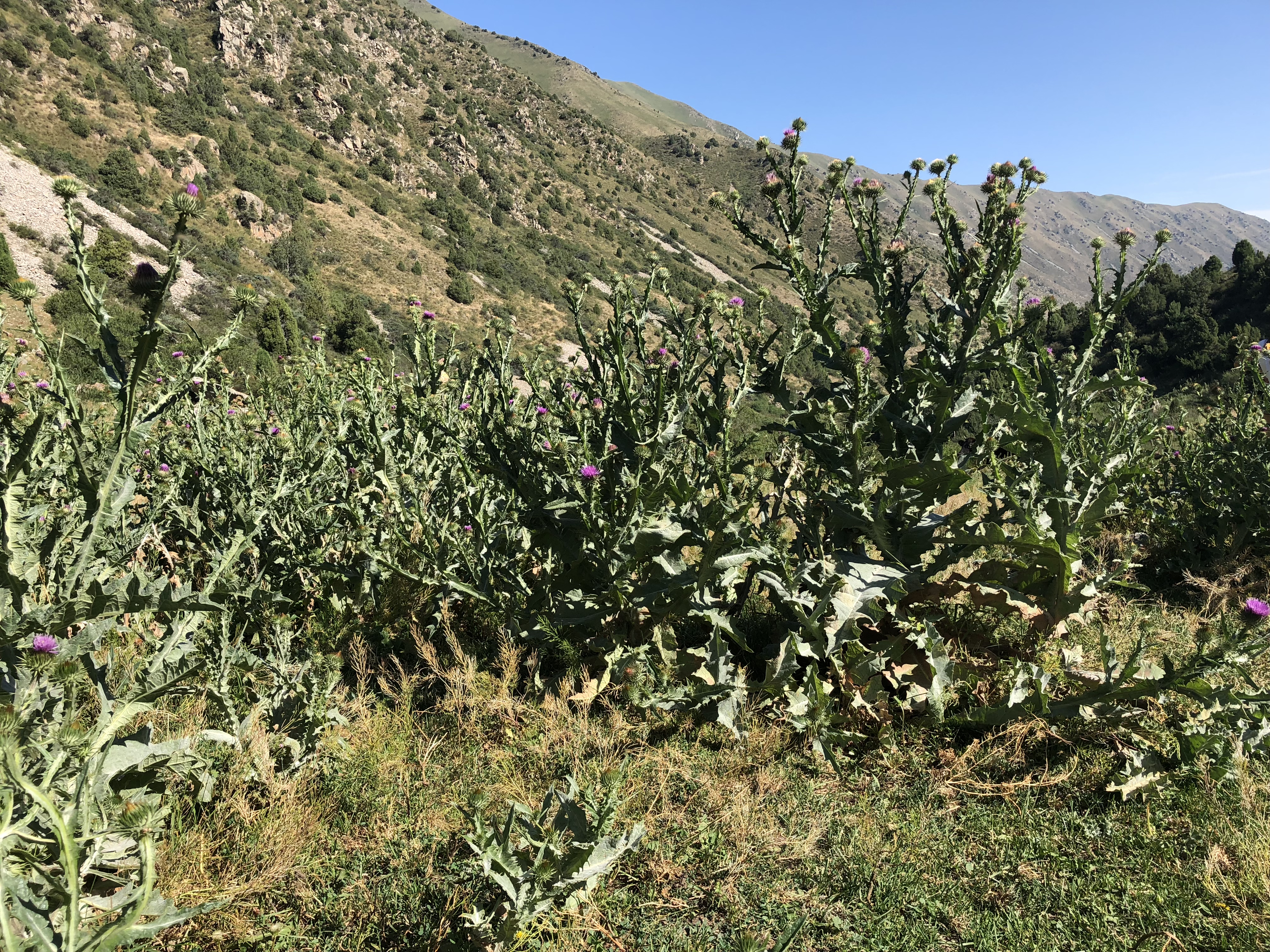 5CFD9EB2-A31B-458E-B156-EB63442B9E6D