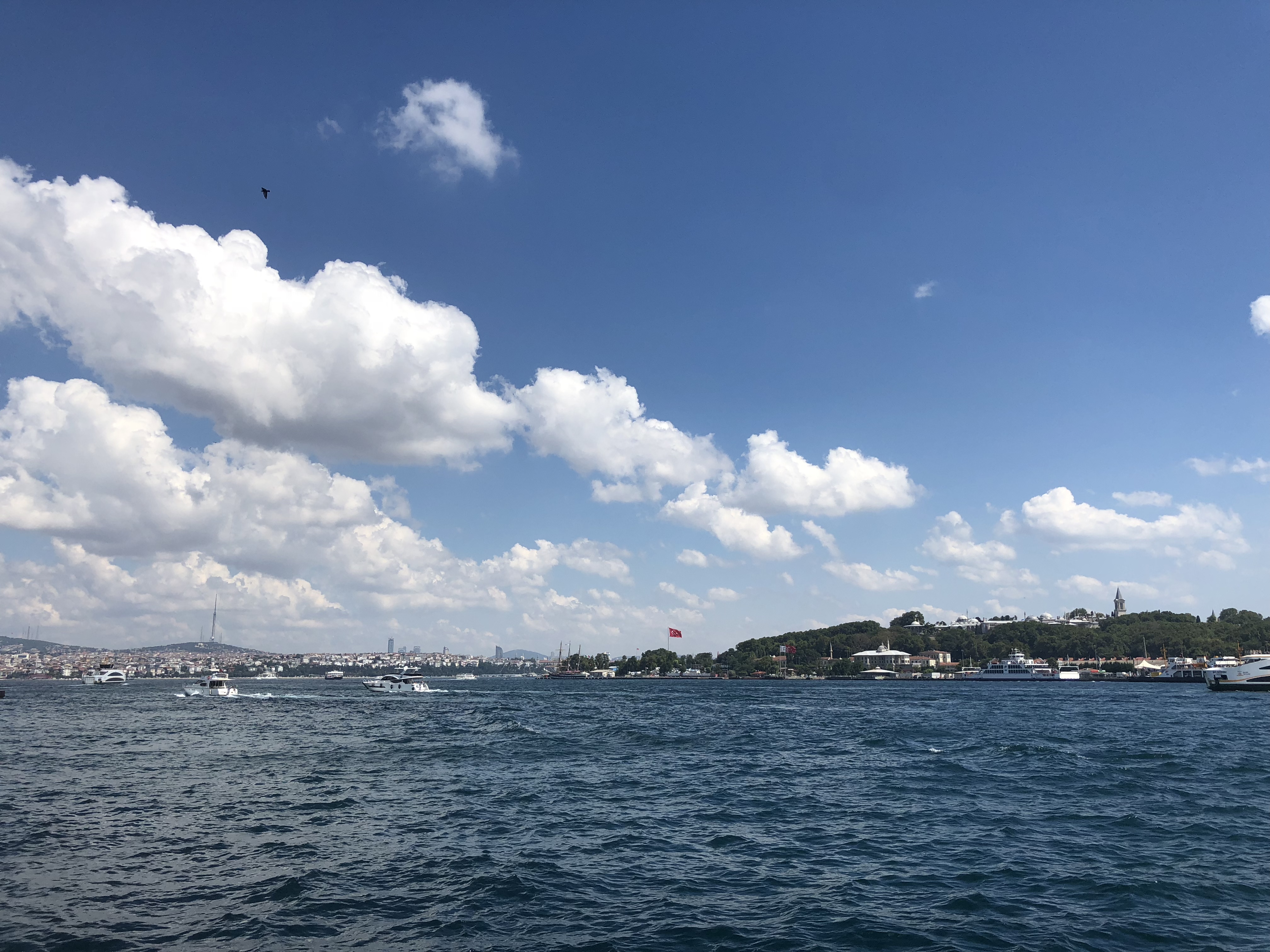 937091C5-68A4-48E7-B49A-78601F6BD83D