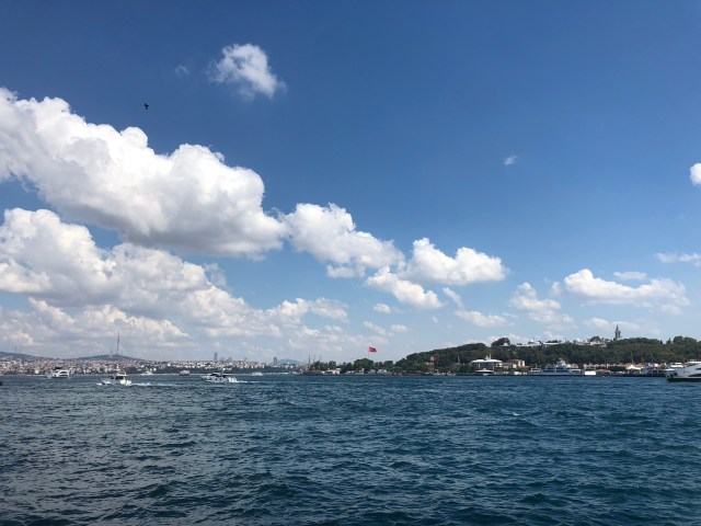 937091C5-68A4-48E7-B49A-78601F6BD83D