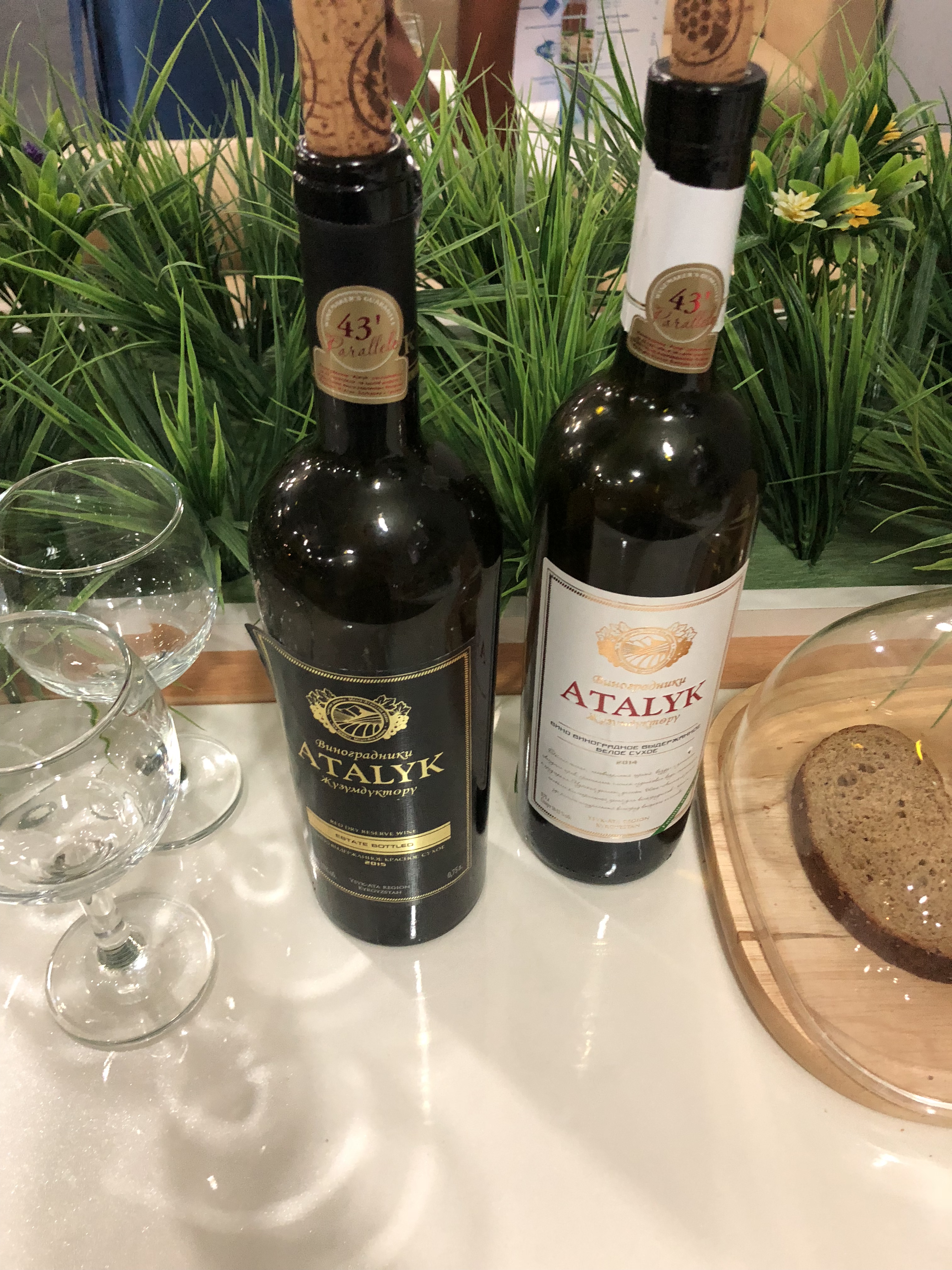 95542ABA-ACB5-4C2F-9645-A6F6F6CD639B