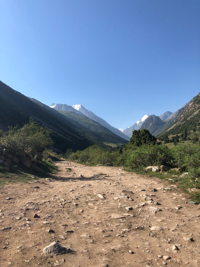 A74CBE8F-AC0F-4AFC-B0DD-E8B19A3C6255