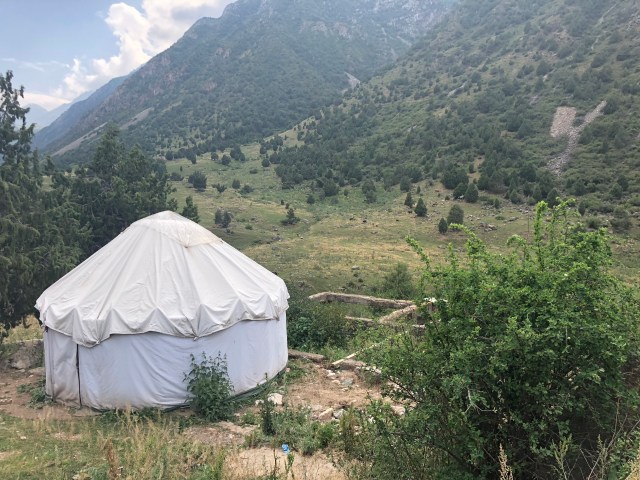 E20F3D5A-D7BF-49D0-A9FC-FD8EB89A0292