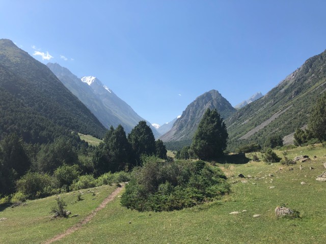 EDA31DA6-A476-4F54-8C40-93C433346603