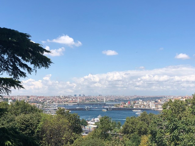 6A39A121-9379-49B8-B944-3DA49DC6A978