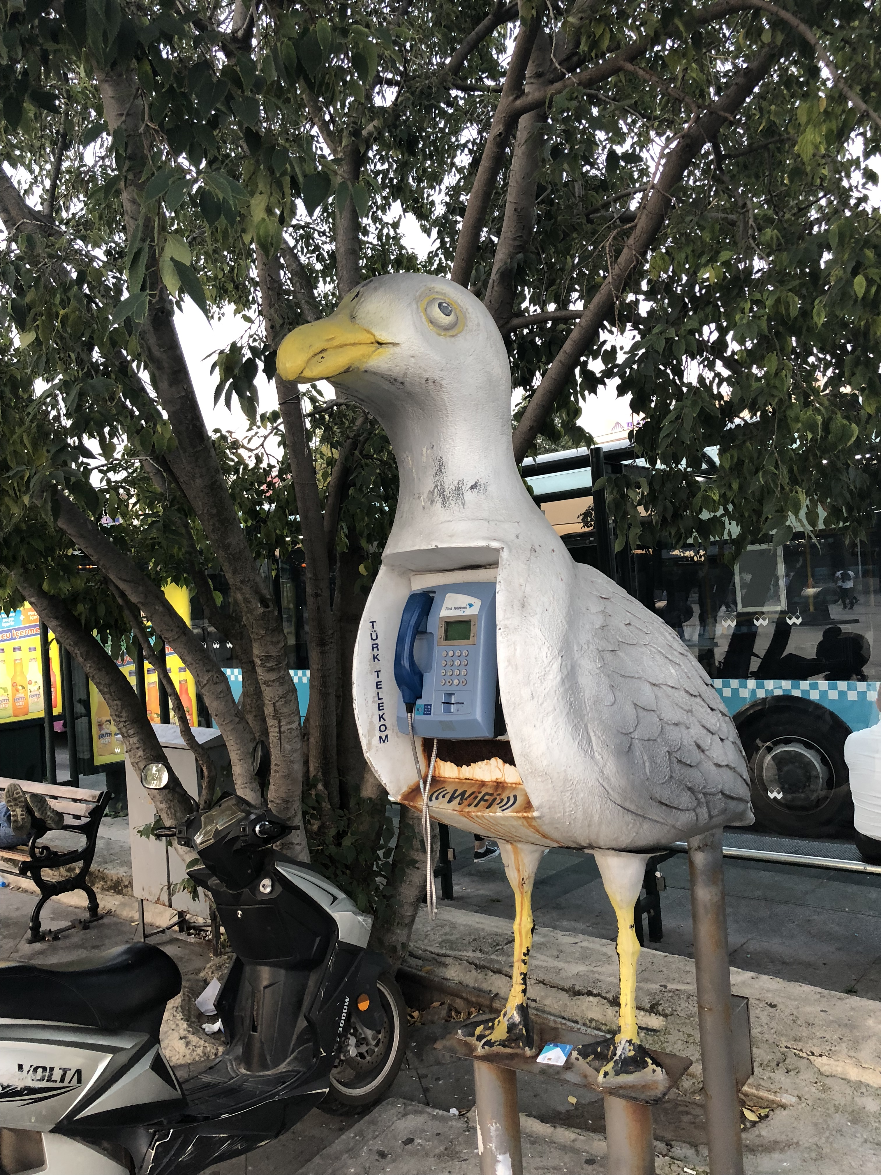 6D9052B6-C080-4102-B4D8-058C9C0E8615