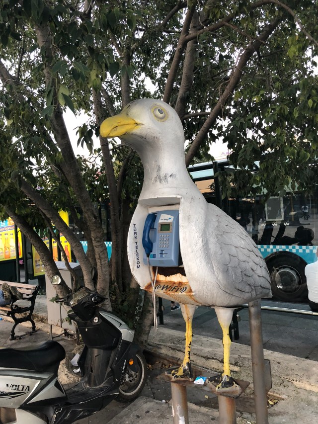 6D9052B6-C080-4102-B4D8-058C9C0E8615