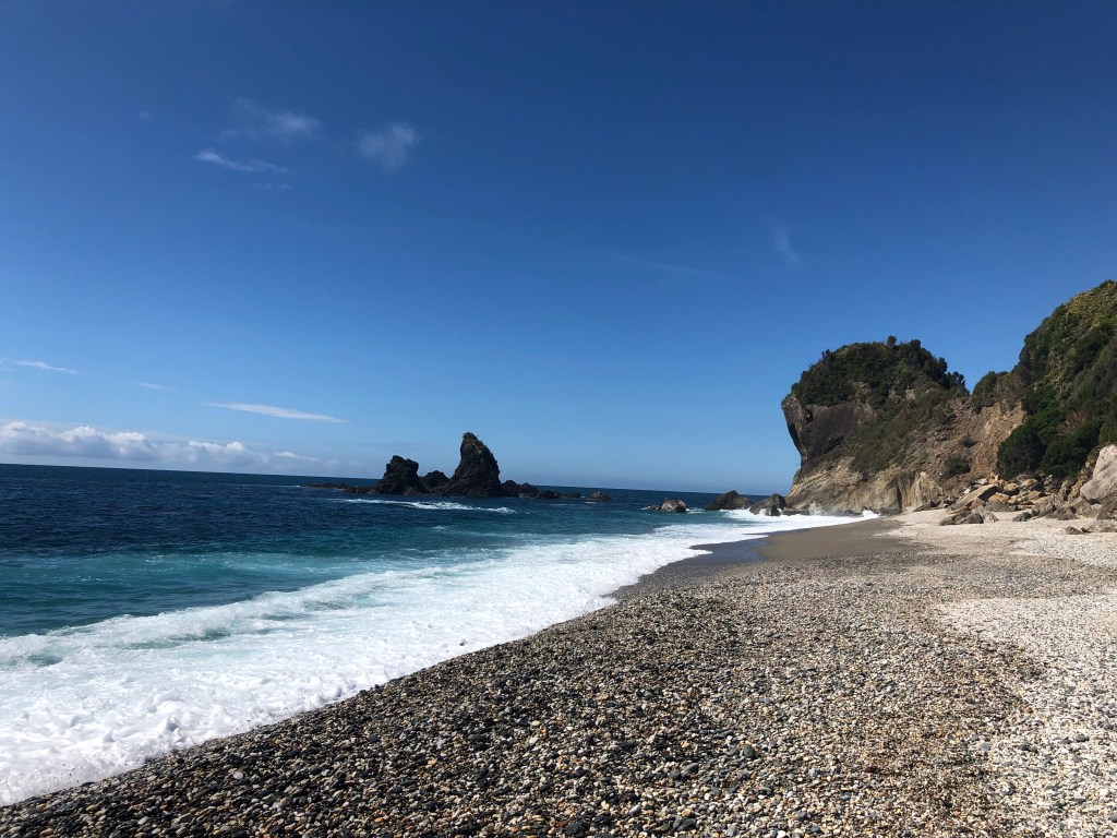 Monro Beach Fjordland Peanguins